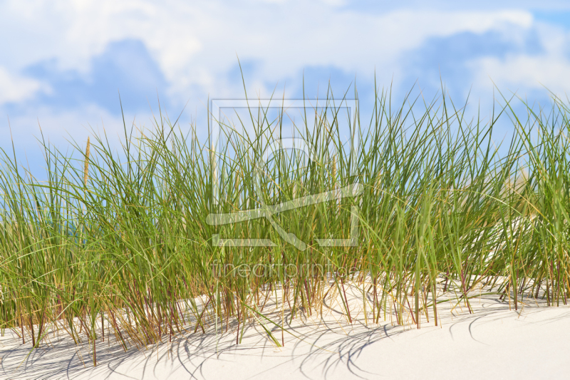 frei w&auml;hlbarer Bildausschnitt f&uuml;r Ihr Bild auf Tasse