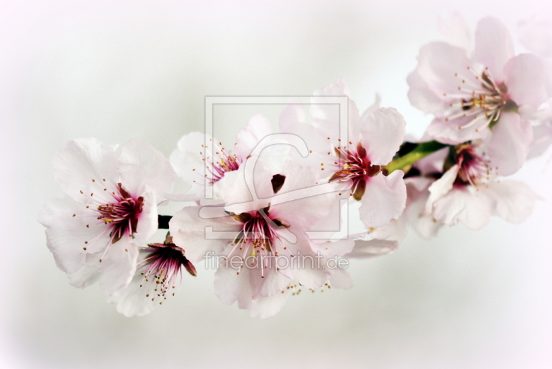 frei w&auml;hlbarer Bildausschnitt f&uuml;r Ihr Bild auf Tasse