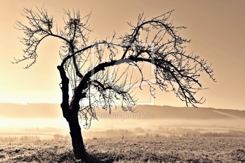 frei w&auml;hlbarer Bildausschnitt f&uuml;r Ihr Bild auf Tasse