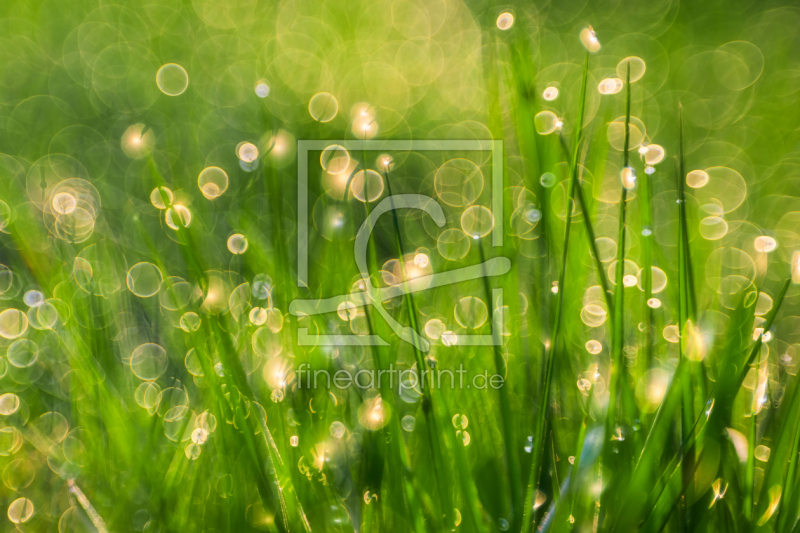 frei w&auml;hlbarer Bildausschnitt f&uuml;r Ihr Bild auf Tasse