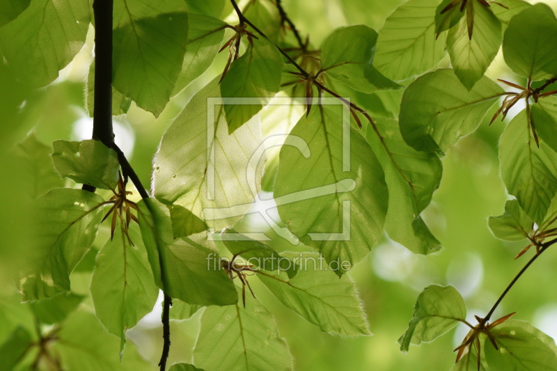 frei w&auml;hlbarer Bildausschnitt f&uuml;r Ihr Bild auf Tasse