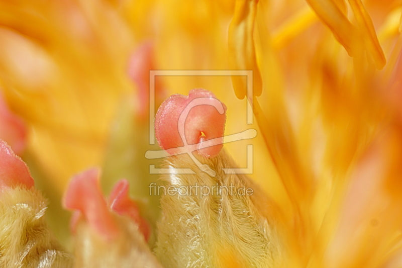 frei w&auml;hlbarer Bildausschnitt f&uuml;r Ihr Bild auf Tasse