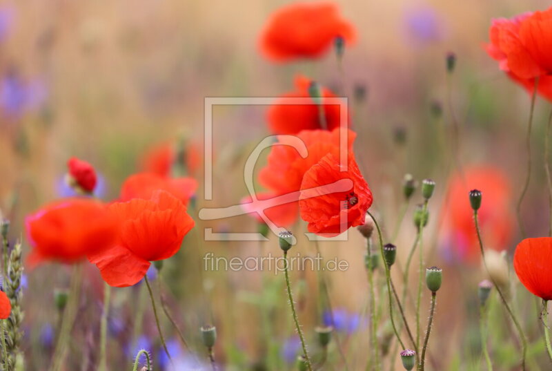 frei w&auml;hlbarer Bildausschnitt f&uuml;r Ihr Bild auf Tasse