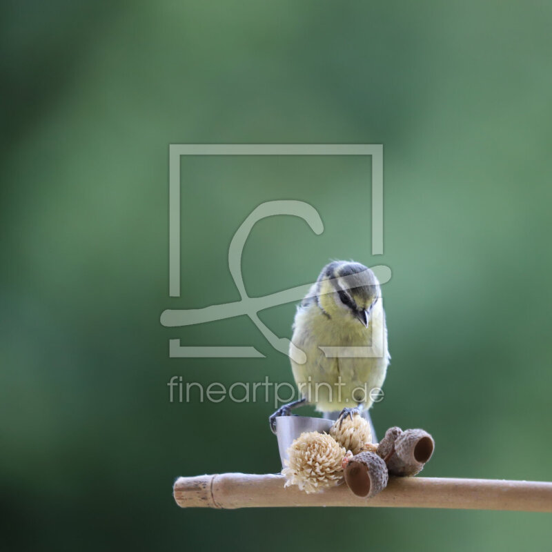 frei w&auml;hlbarer Bildausschnitt f&uuml;r Ihr Bild auf Tasse