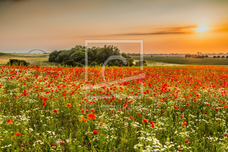 frei w&auml;hlbarer Bildausschnitt f&uuml;r Ihr Bild auf Tasse