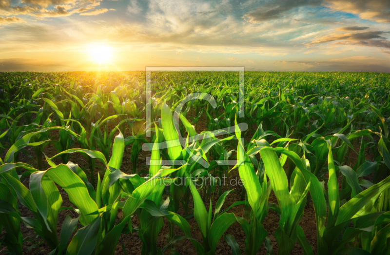 frei w&auml;hlbarer Bildausschnitt f&uuml;r Ihr Bild auf Tasse