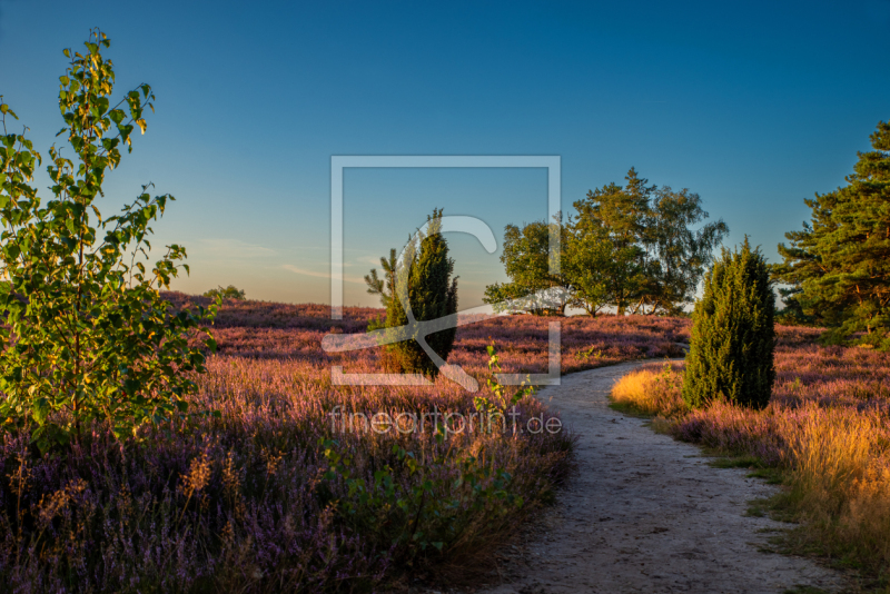 frei w&auml;hlbarer Bildausschnitt f&uuml;r Ihr Bild auf Tasse