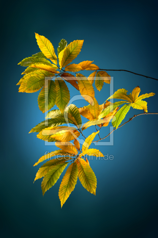 frei w&auml;hlbarer Bildausschnitt f&uuml;r Ihr Bild auf Tasse