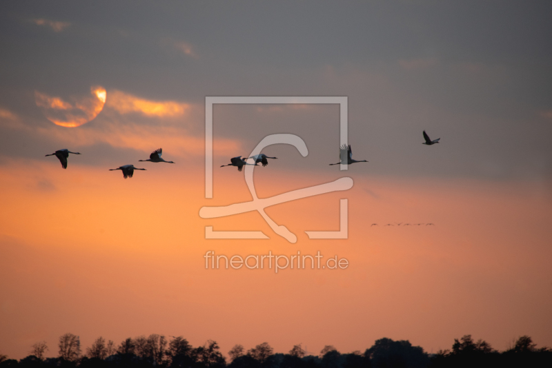 frei w&auml;hlbarer Bildausschnitt f&uuml;r Ihr Bild auf Tasse