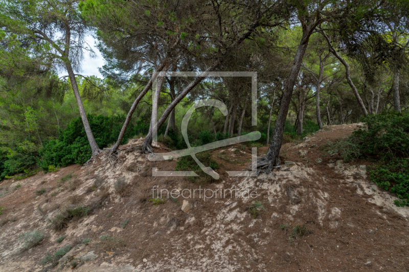 frei w&auml;hlbarer Bildausschnitt f&uuml;r Ihr Bild auf Tasse