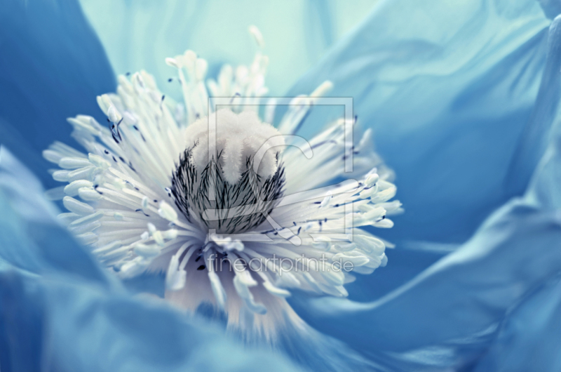 frei w&auml;hlbarer Bildausschnitt f&uuml;r Ihr Bild auf Tasse