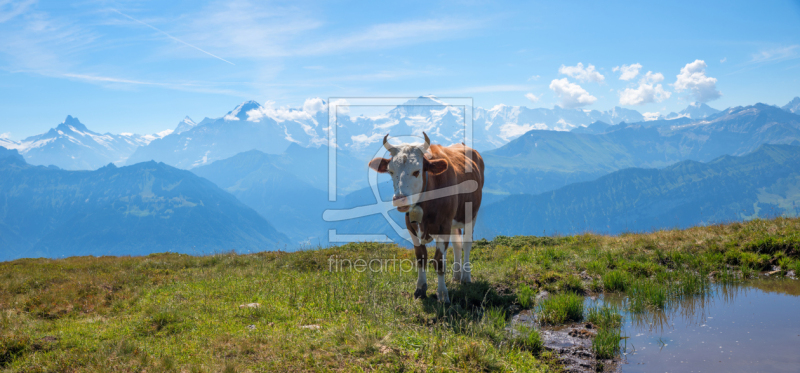 frei w&auml;hlbarer Bildausschnitt f&uuml;r Ihr Bild auf Tasse