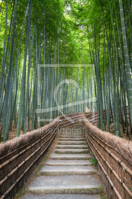 frei w&auml;hlbarer Bildausschnitt f&uuml;r Ihr Bild auf Tasse