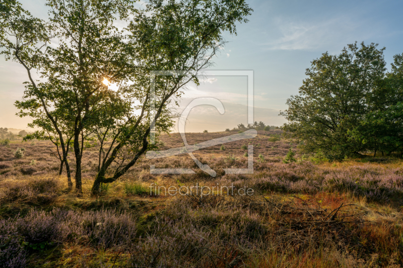 frei w&auml;hlbarer Bildausschnitt f&uuml;r Ihr Bild auf Tasse