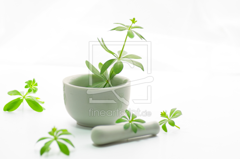 frei w&auml;hlbarer Bildausschnitt f&uuml;r Ihr Bild auf Tasse