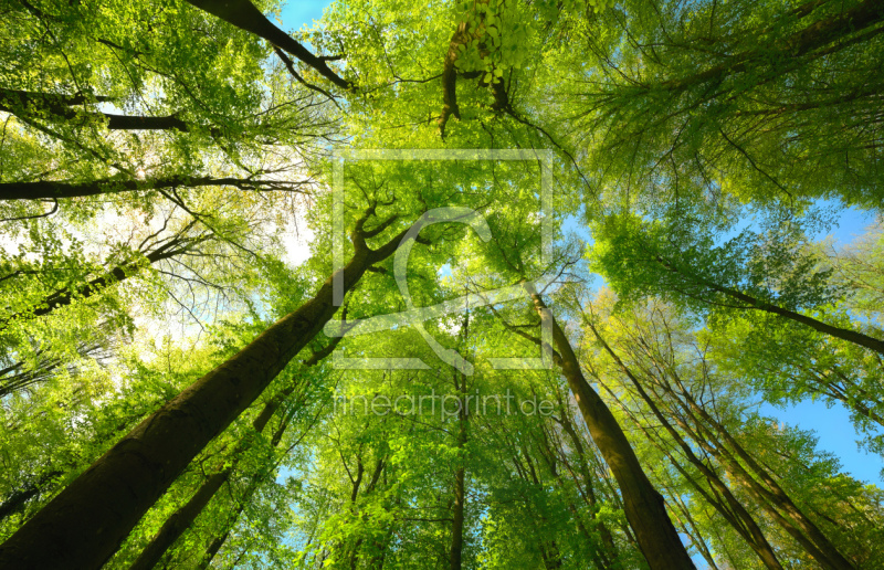frei w&auml;hlbarer Bildausschnitt f&uuml;r Ihr Bild auf Tasse