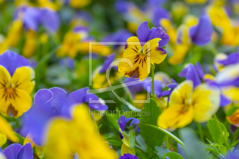frei w&auml;hlbarer Bildausschnitt f&uuml;r Ihr Bild auf Tasse