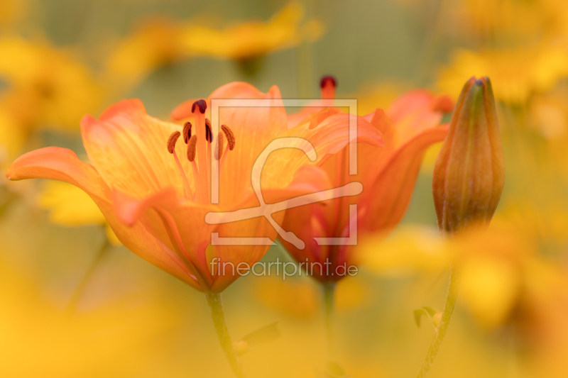 frei w&auml;hlbarer Bildausschnitt f&uuml;r Ihr Bild auf Tasse