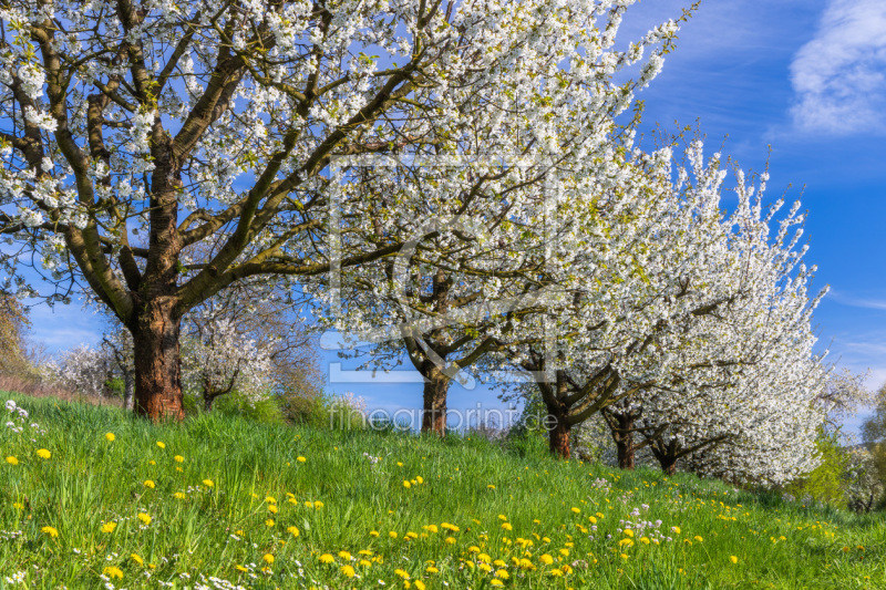 frei wählbarer Bildausschnitt für Ihr Bild auf Tasse