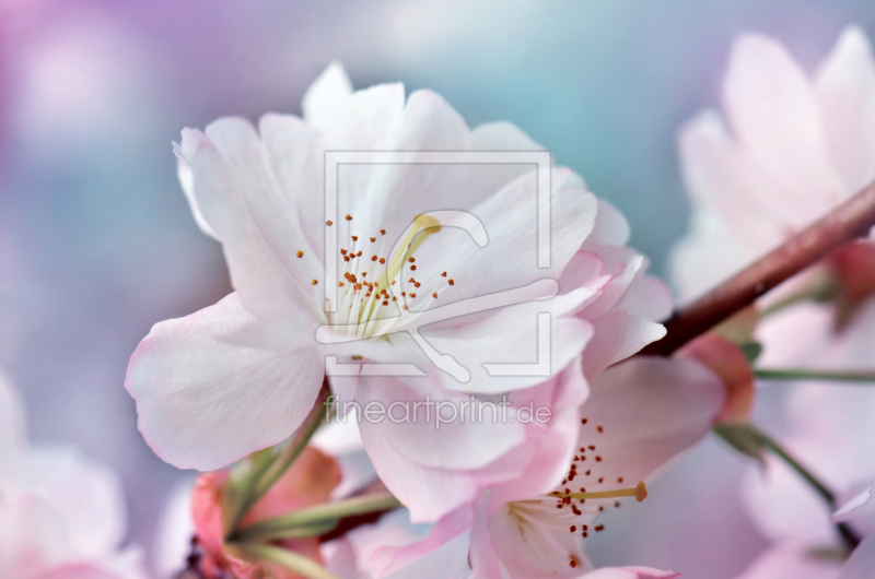 frei w&auml;hlbarer Bildausschnitt f&uuml;r Ihr Bild auf Tasse