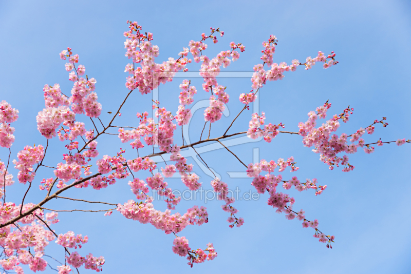frei w&auml;hlbarer Bildausschnitt f&uuml;r Ihr Bild auf Tasse