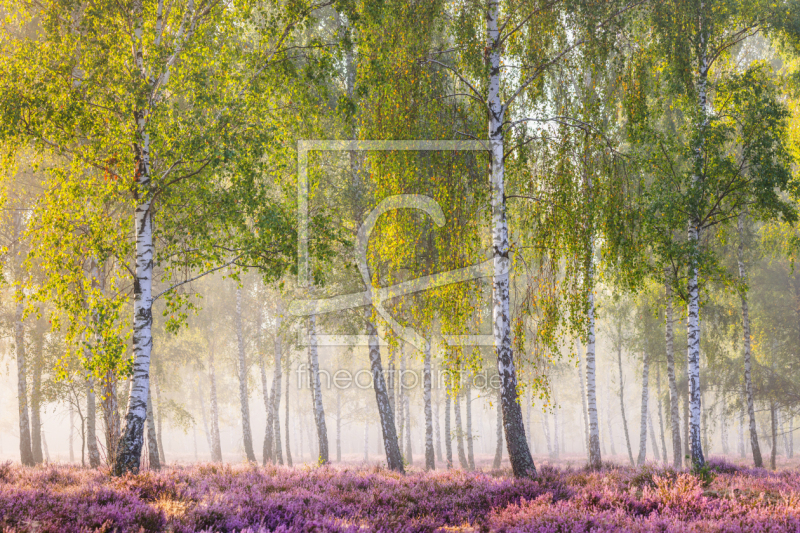 frei w&auml;hlbarer Bildausschnitt f&uuml;r Ihr Bild auf Tasse