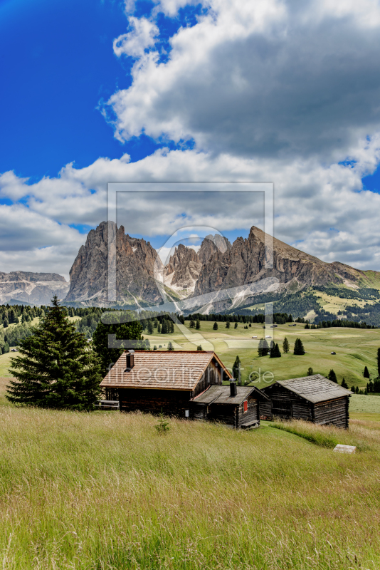 frei w&auml;hlbarer Bildausschnitt f&uuml;r Ihr Bild auf Tasse