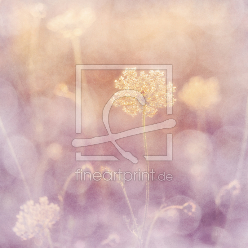 frei w&auml;hlbarer Bildausschnitt f&uuml;r Ihr Bild auf Tasse