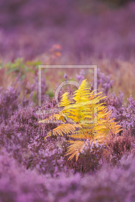 frei w&auml;hlbarer Bildausschnitt f&uuml;r Ihr Bild auf Tasse