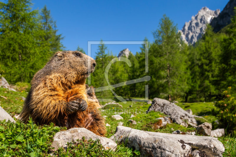 frei w&auml;hlbarer Bildausschnitt f&uuml;r Ihr Bild auf Tasse