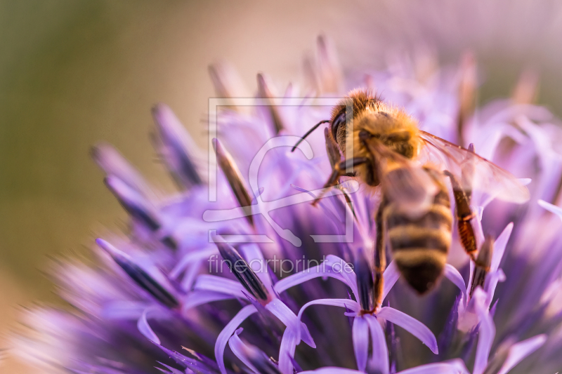 frei w&auml;hlbarer Bildausschnitt f&uuml;r Ihr Bild auf Tasse