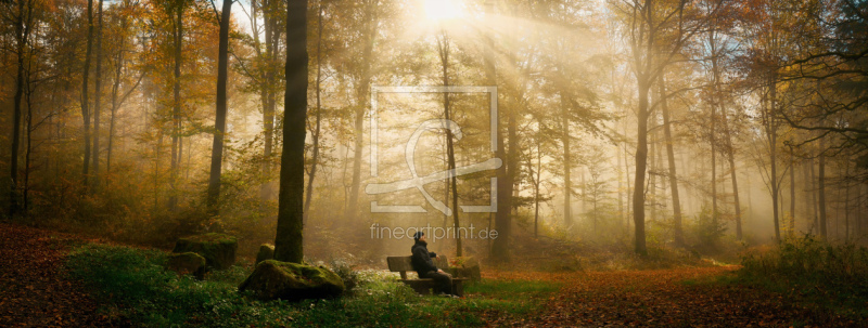 frei w&auml;hlbarer Bildausschnitt f&uuml;r Ihr Bild auf Tasse