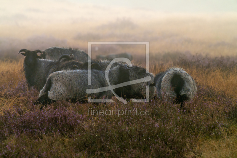 frei w&auml;hlbarer Bildausschnitt f&uuml;r Ihr Bild auf Tasse