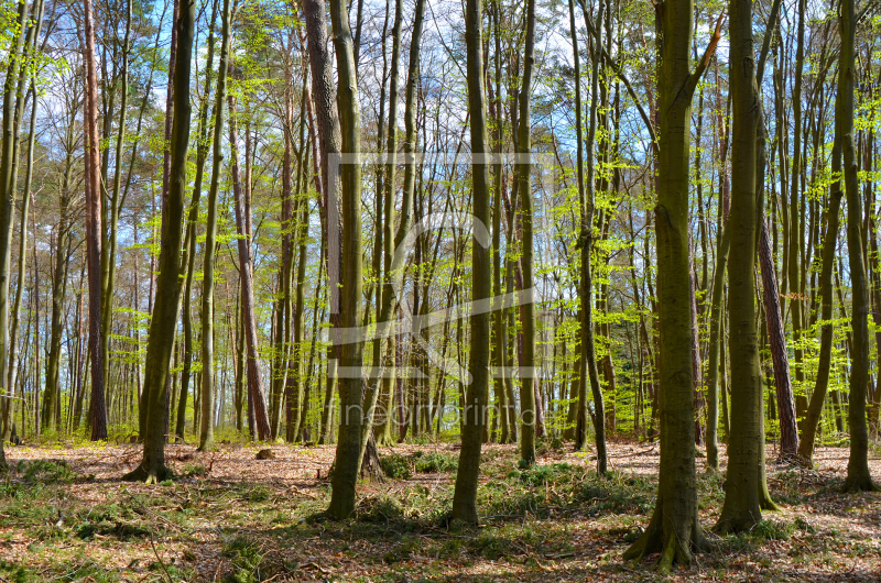 frei w&auml;hlbarer Bildausschnitt f&uuml;r Ihr Bild auf Tasse