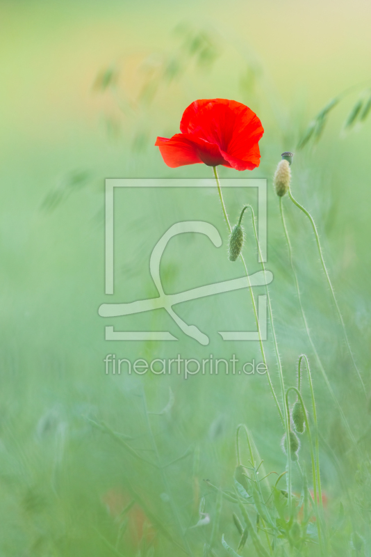 frei w&auml;hlbarer Bildausschnitt f&uuml;r Ihr Bild auf Tasse