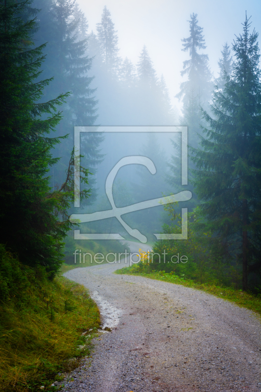 frei w&auml;hlbarer Bildausschnitt f&uuml;r Ihr Bild auf Tasse