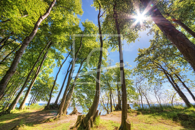 frei w&auml;hlbarer Bildausschnitt f&uuml;r Ihr Bild auf Tasse