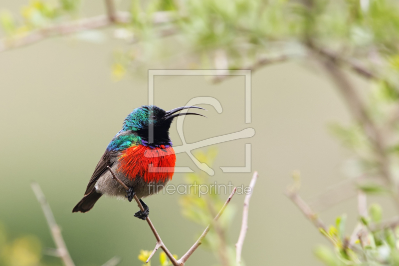 frei w&auml;hlbarer Bildausschnitt f&uuml;r Ihr Bild auf Tasse