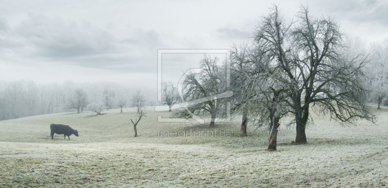 frei w&auml;hlbarer Bildausschnitt f&uuml;r Ihr Bild auf Tasse