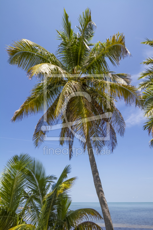 frei w&auml;hlbarer Bildausschnitt f&uuml;r Ihr Bild auf Tasse