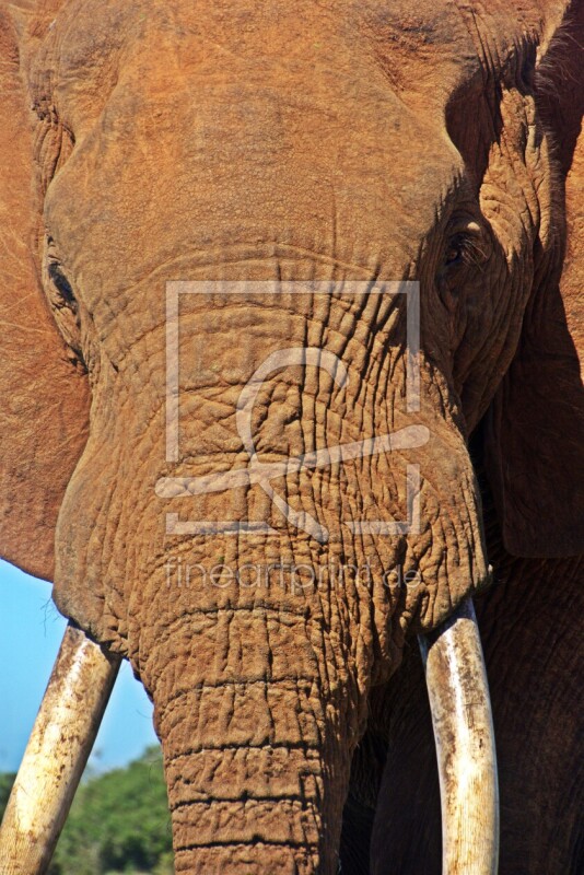 frei w&auml;hlbarer Bildausschnitt f&uuml;r Ihr Bild auf Tasse