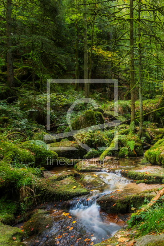frei w&auml;hlbarer Bildausschnitt f&uuml;r Ihr Bild auf Tasse