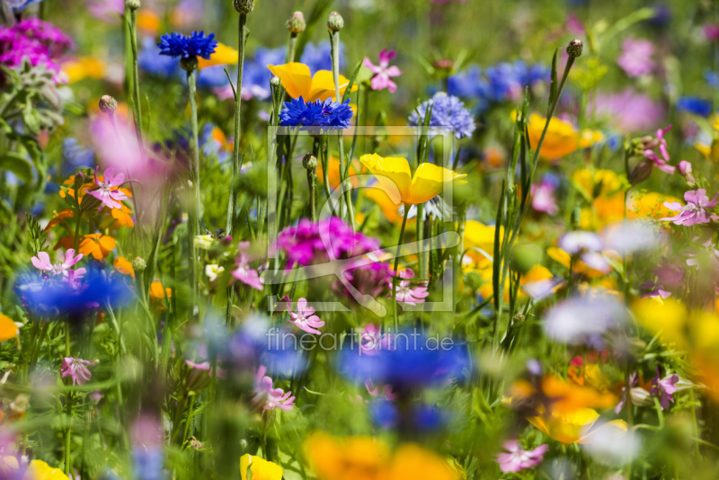 frei w&auml;hlbarer Bildausschnitt f&uuml;r Ihr Bild auf Tasse