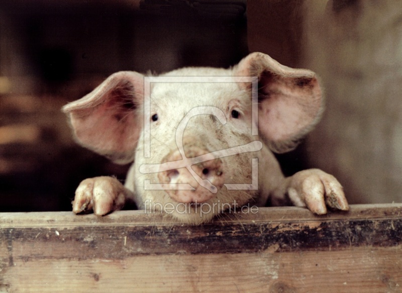 frei w&auml;hlbarer Bildausschnitt f&uuml;r Ihr Bild auf Tasse