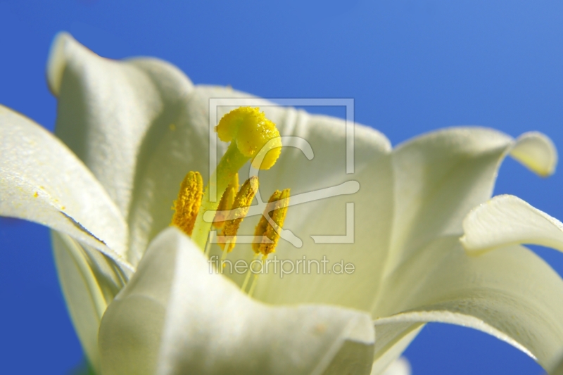 frei w&auml;hlbarer Bildausschnitt f&uuml;r Ihr Bild auf Tasse