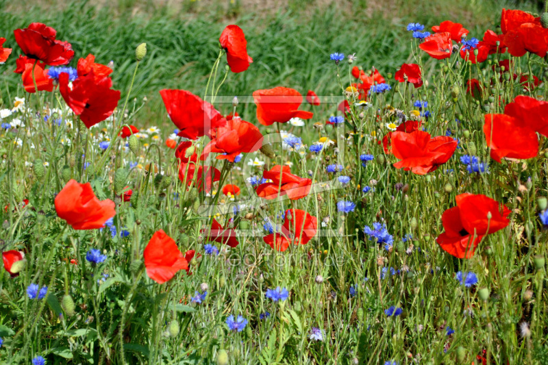 frei w&auml;hlbarer Bildausschnitt f&uuml;r Ihr Bild auf Tischdecke