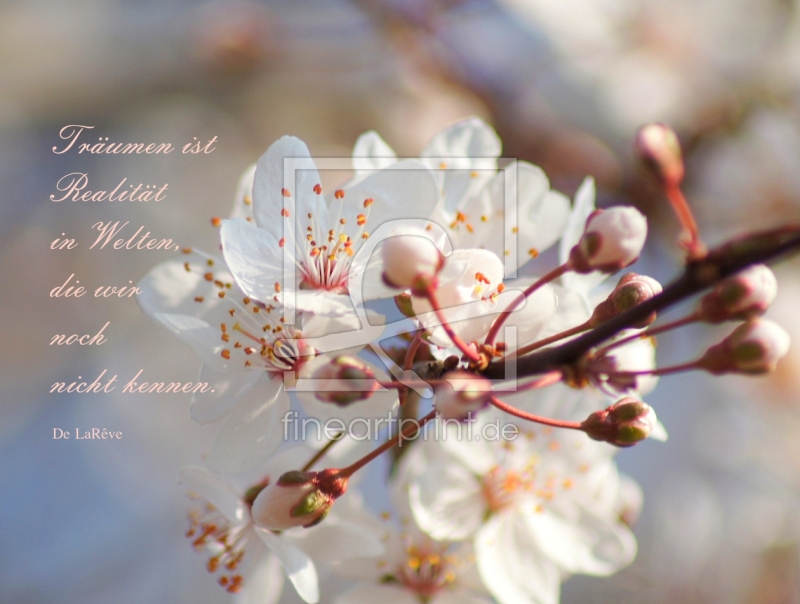 frei w&auml;hlbarer Bildausschnitt f&uuml;r Ihr Bild auf Tischdecke