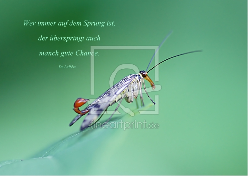 frei w&auml;hlbarer Bildausschnitt f&uuml;r Ihr Bild auf Tischdecke