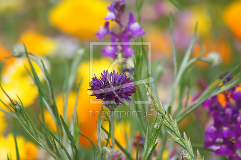 frei w&auml;hlbarer Bildausschnitt f&uuml;r Ihr Bild auf Tischdecke