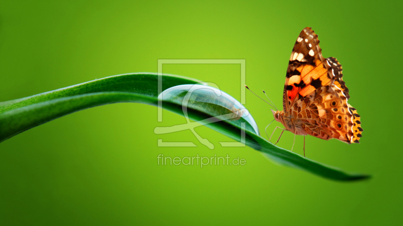 frei wählbarer Bildausschnitt für Ihr Bild auf Tischdecke